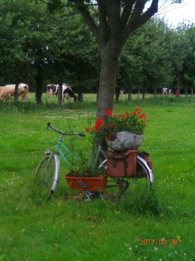 Camping Du Creulet Crouay Bagian luar foto