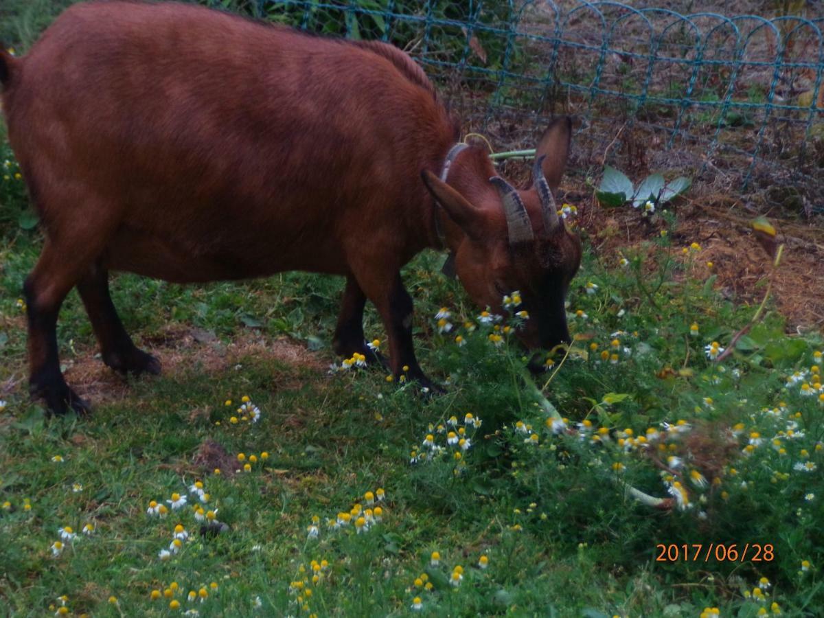 Camping Du Creulet Crouay Bagian luar foto